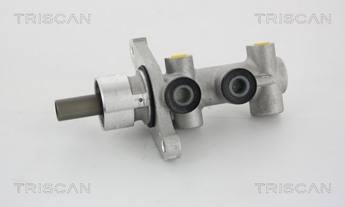 Brake Master Cylinder TRISCAN 813018100