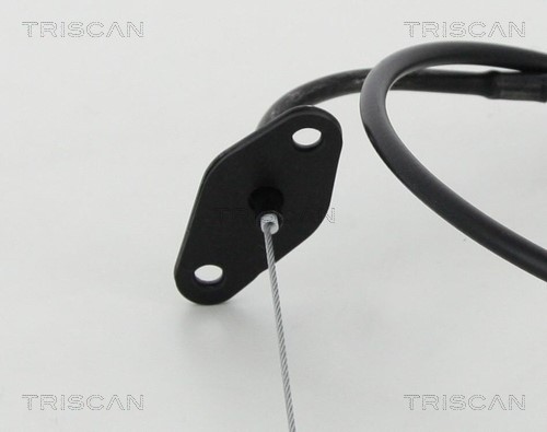 Accelerator Cable TRISCAN 814043310 2