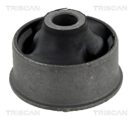 Mounting, control/trailing arm TRISCAN 850013817