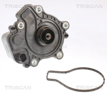 Water Pump, engine cooling TRISCAN 860013049 2