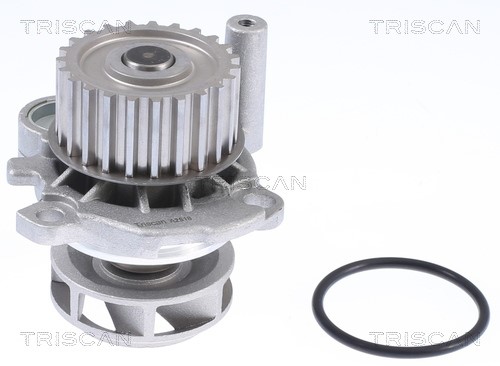 Water Pump, engine cooling TRISCAN 860029012 2