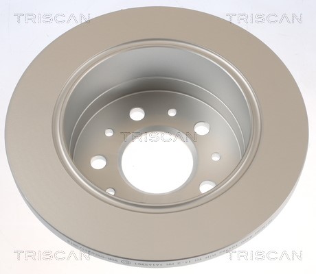 Brake Disc TRISCAN 812010176C 2