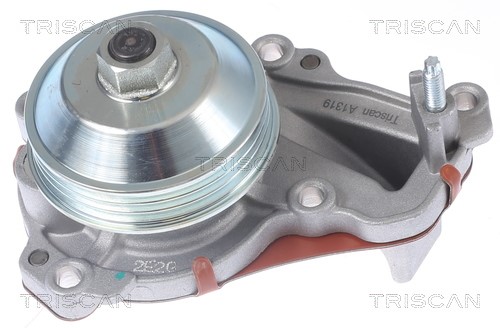 Water Pump, engine cooling TRISCAN 860028026