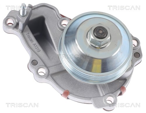 Water Pump, engine cooling TRISCAN 860028026 2