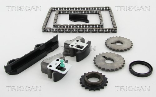 Timing Chain Kit TRISCAN 865014001