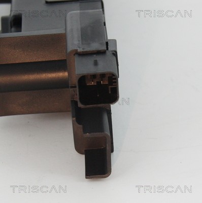 Ignition Coil TRISCAN 886028006 2