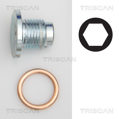 Screw Plug, oil sump TRISCAN 95001019