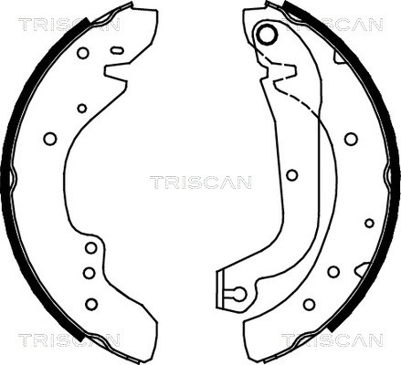 Brake Shoe Set TRISCAN 810010577