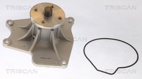 Water Pump, engine cooling TRISCAN 860042024