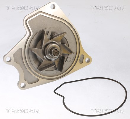 Water Pump, engine cooling TRISCAN 860042024 2