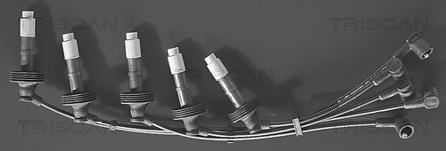 Ignition Cable Kit TRISCAN 88606469