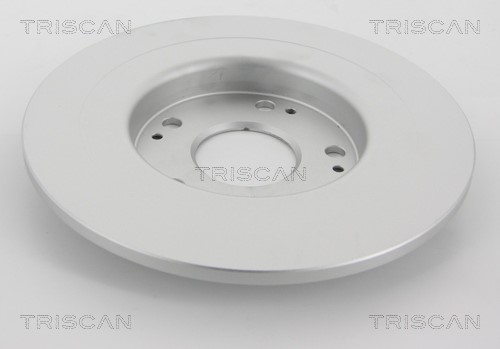 Brake Disc TRISCAN 812040173C 2