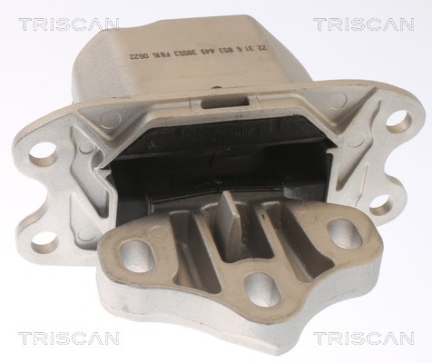 Mounting, engine TRISCAN 850511120