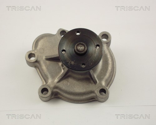 Water Pump, engine cooling TRISCAN 860024008