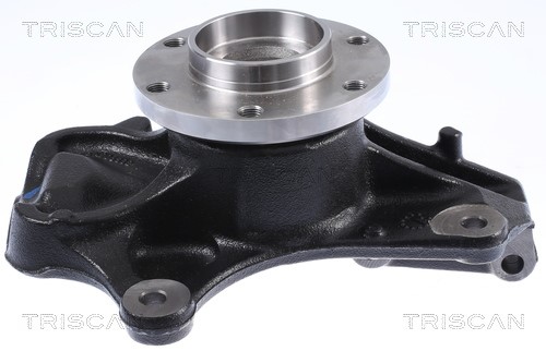 Wheel Bearing Kit TRISCAN 853529001