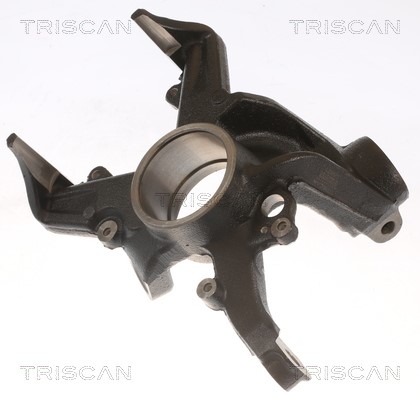 Steering Knuckle, wheel suspension TRISCAN 850029703