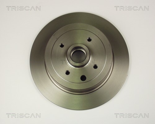 Brake Disc TRISCAN 812024111