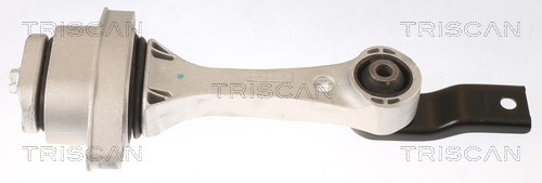 Mounting, engine TRISCAN 850529100