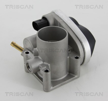 Throttle Body TRISCAN 882029001