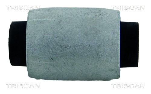 Mounting, control/trailing arm TRISCAN 850027817