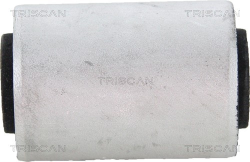 Mounting, control/trailing arm TRISCAN 850023869