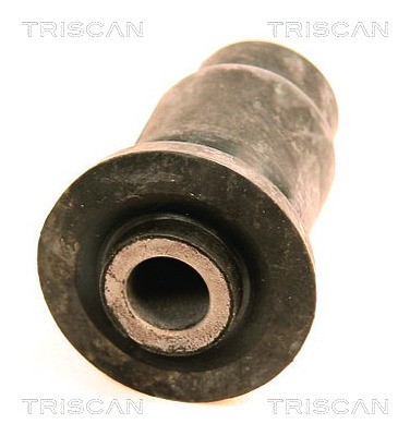 Mounting, control/trailing arm TRISCAN 850050801