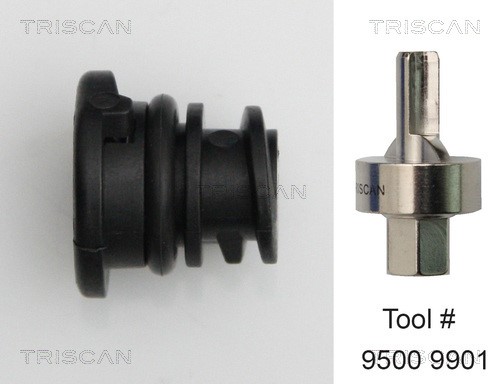 Screw Plug, oil sump TRISCAN 95002901