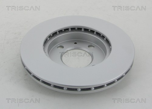 Brake Disc TRISCAN 812029103C 2