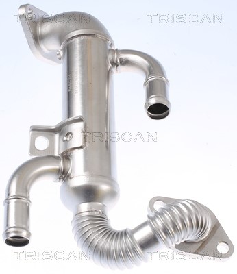 Cooler, exhaust gas recirculation TRISCAN 881329332 3