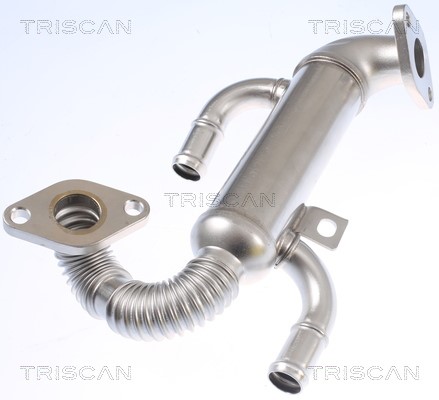 Cooler, exhaust gas recirculation TRISCAN 881329332 4
