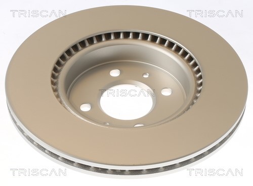 Brake Disc TRISCAN 812043187C 2