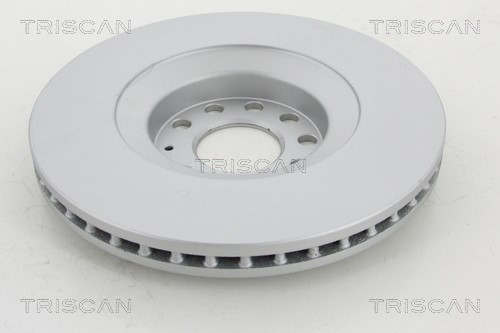 Brake Disc TRISCAN 812029185C 2