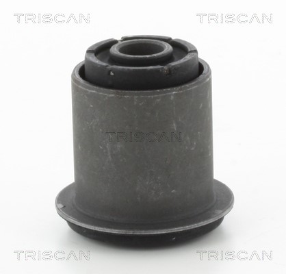 Mounting, control/trailing arm TRISCAN 850013852