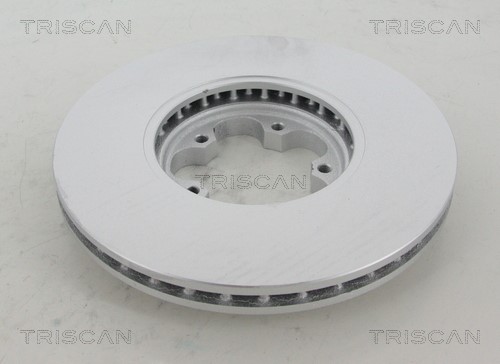 Brake Disc TRISCAN 812016140C 2