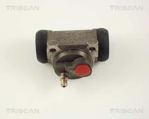 Wheel Brake Cylinder TRISCAN 813025028