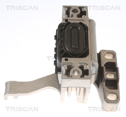 Mounting, engine TRISCAN 850529128