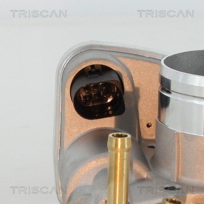 Throttle Body TRISCAN 882029006 2