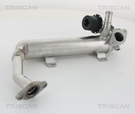 Cooler, exhaust gas recirculation TRISCAN 881329319