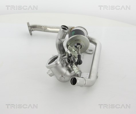 Cooler, exhaust gas recirculation TRISCAN 881329319 2