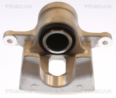 Brake Caliper TRISCAN 817569102
