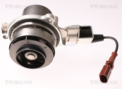 Water Pump, engine cooling TRISCAN 860029065V 3