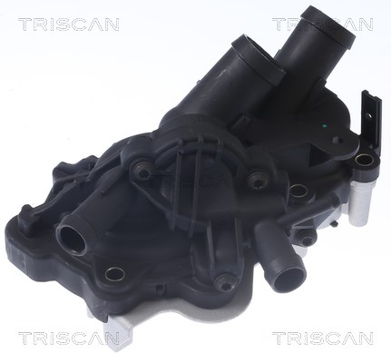 Water Pump, engine cooling TRISCAN 860029087