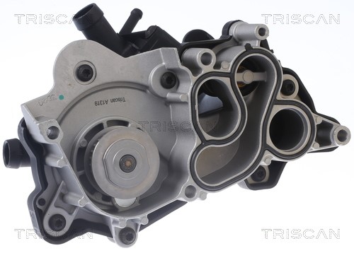 Water Pump, engine cooling TRISCAN 860029087 2