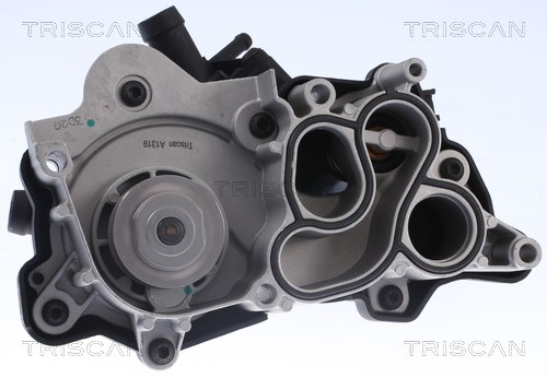 Water Pump, engine cooling TRISCAN 860029087 3