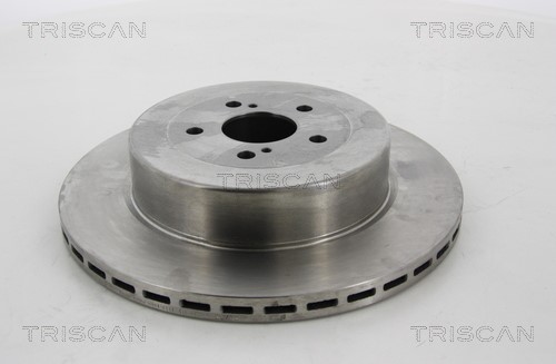 Brake Disc TRISCAN 812068120