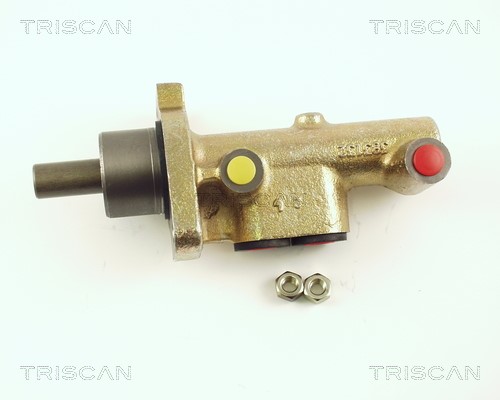 Brake Master Cylinder TRISCAN 813024137