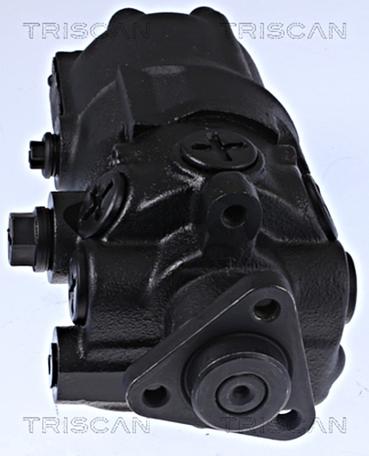 Hydraulic Pump, steering system TRISCAN 851529610 3
