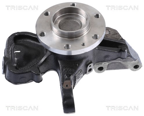 Wheel Bearing Kit TRISCAN 853529008