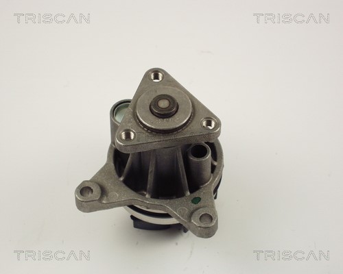 Water Pump, engine cooling TRISCAN 860016020