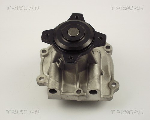Water Pump, engine cooling TRISCAN 860069003